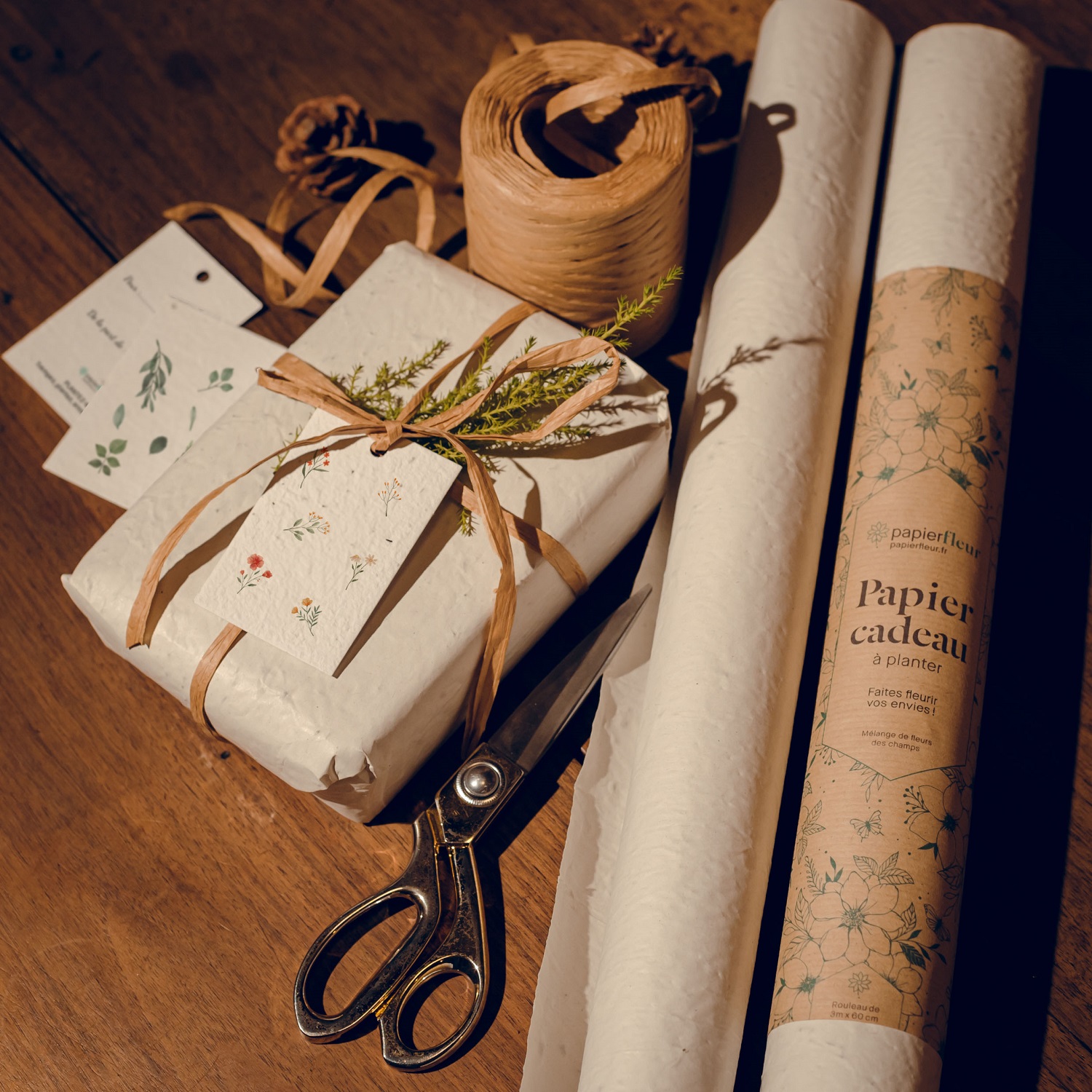 🌱Lot de 6 étiquettes cadeau à planter Noël Rondes - Carte à Pousser