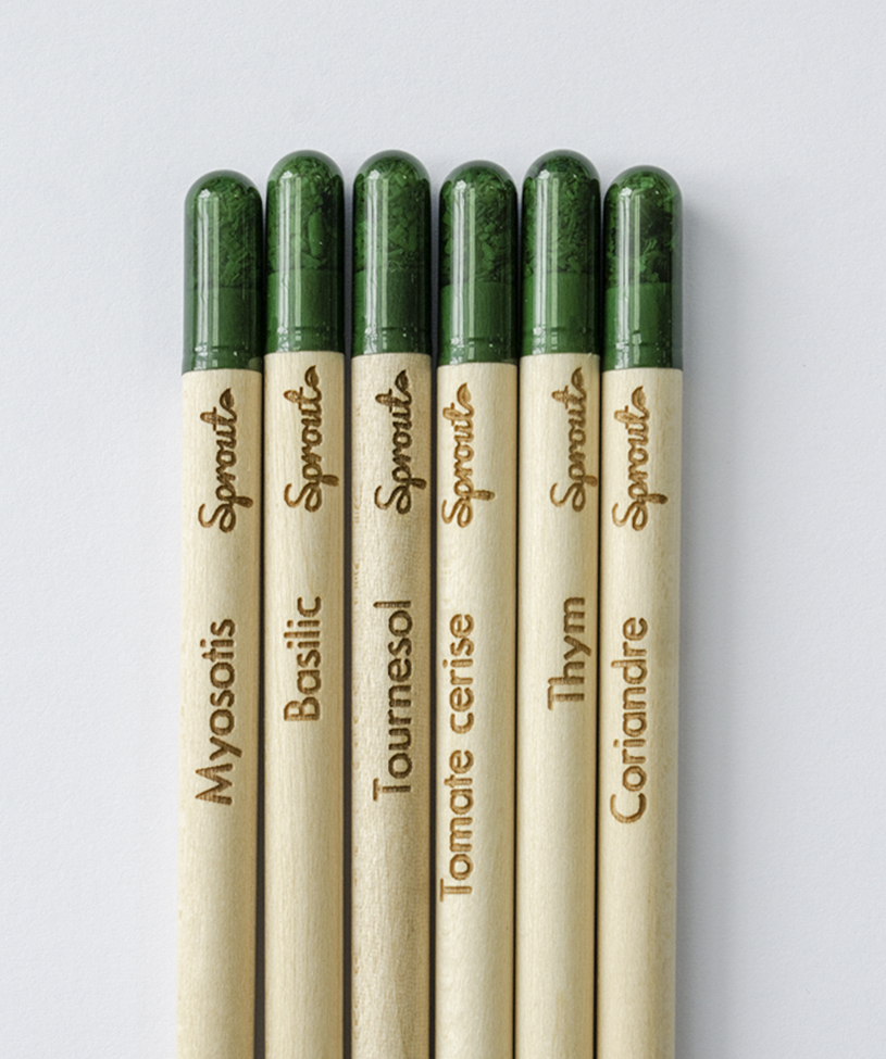 pack-6-crayons-papierfleur-papier-ensemence-seed-graines-myosotis-basilic-tournesol-tomate-thym-coriandre