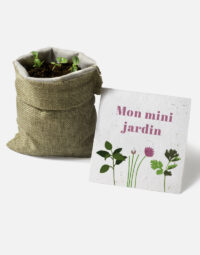 présentation - kit à planter mini jardin