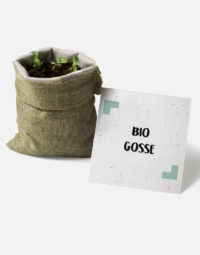 bio-gosse-avec-pousses-papierfleur-cadeau-a-message-ecologique