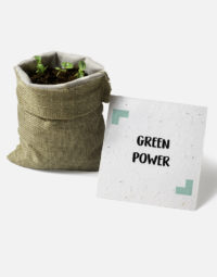 green-power-avec-pousses-papierfleur-aromates-graines