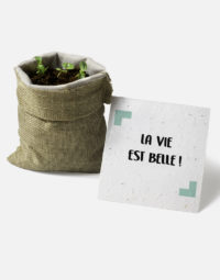 la-vie-est-belle-pousses-aromates-papierfleur-idee-cadeau-ecologique