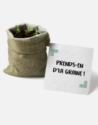 prends-en-d-la-graine-avec-pousse-papierfleur-herbes-aromatiques-a-planter