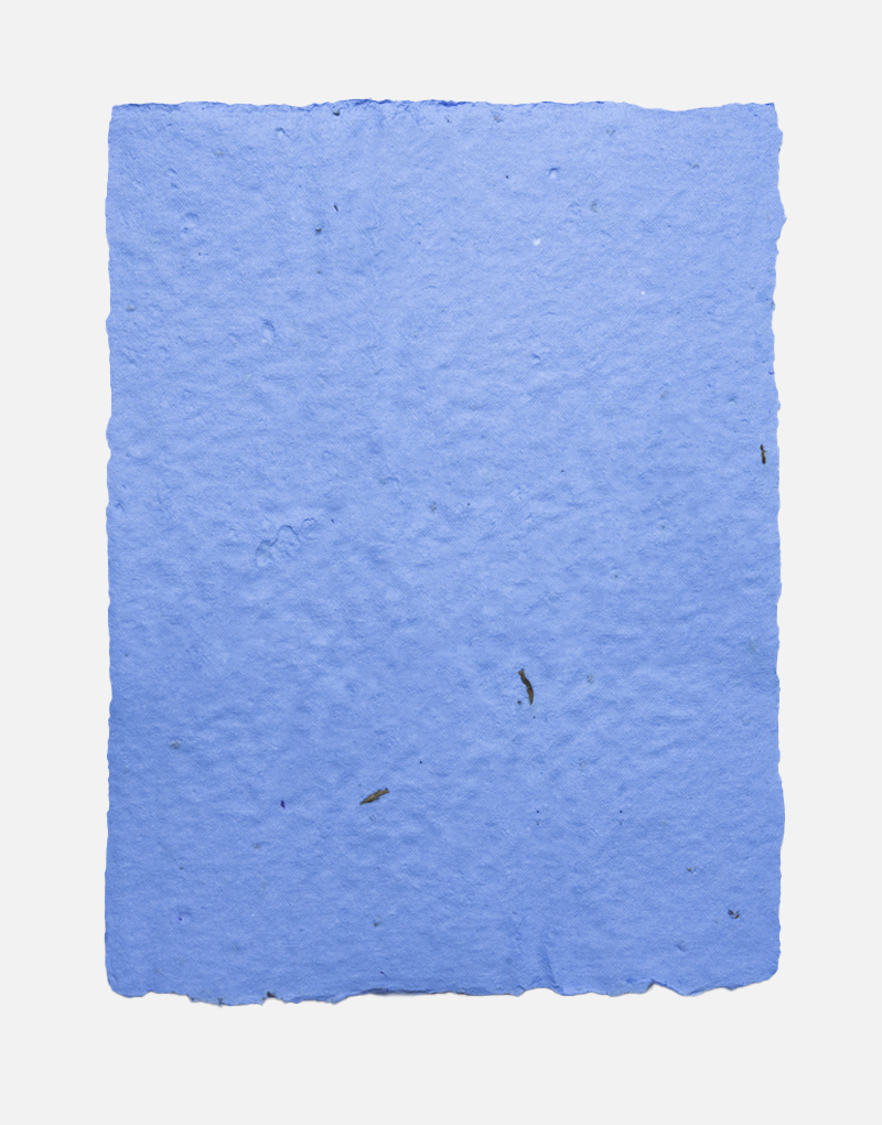Lot de feuilles de papier ensemencé Original 5 Bleu ciel