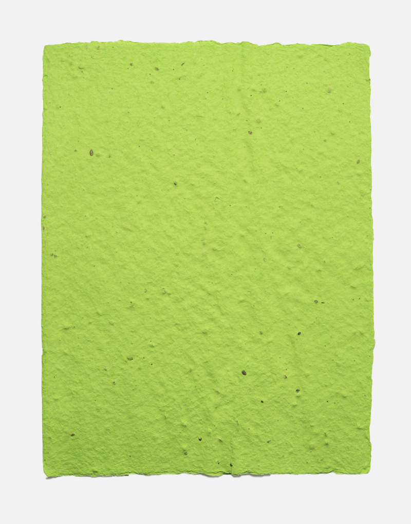 https://www.papierfleur.fr/wp-content/uploads/2020/12/lot-de-feuilles-original-couleur-vert-citron-papierfleur-non-imprimable-papier-ensemence-graines.jpg