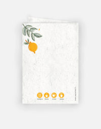 carte-2-volets-anniversaire-fruite-verso-plume-a6-citrons-ecologique