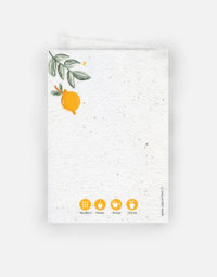 carte-2-volets-anniversaire-fruite-verso-premium-a6-citrons-ecologique