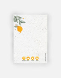 carte-anniversaire-fruite-verso-premium-a6-citrons-ecologique