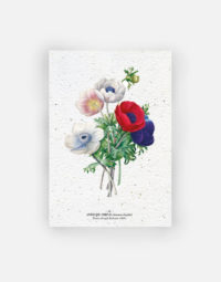 carte-biodiversite-premium-anemone-a6-nature-flower
