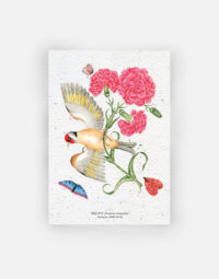 carte-biodiversite-premium-oeillet-oiseau-a6-papierfleur-floraison-fleur