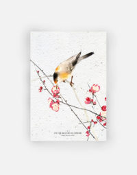 carte-biodiversite-premium-oiseau-cerisier-a6-floraison-japon-eco