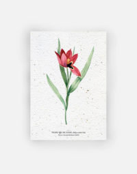 carte-biodiversite-premium-tulipe-oeil-de-soleil-format-a6-papierfleur-biodegradable-fleur