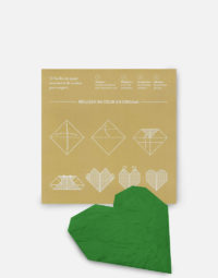 origami-coeur-vert-planter-graine