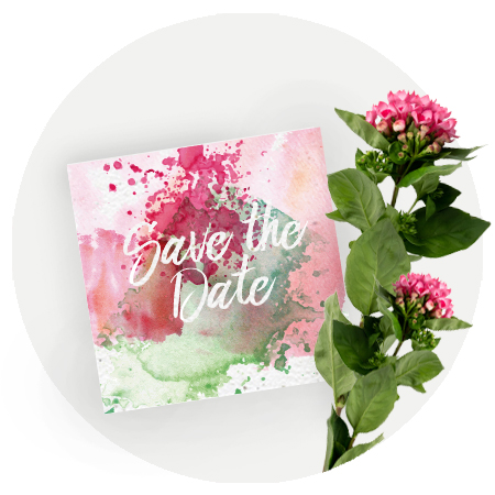 Vignette Mariage Save the date