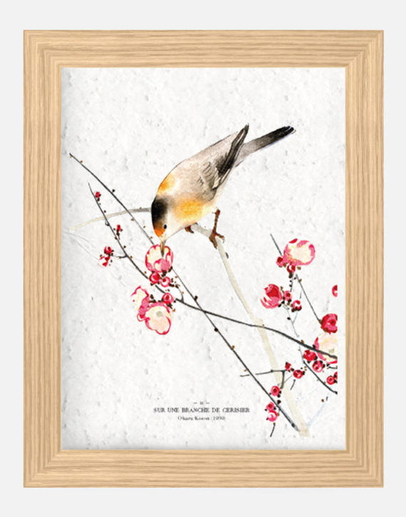 Affiche Biodiversité Oiseau et cerisier