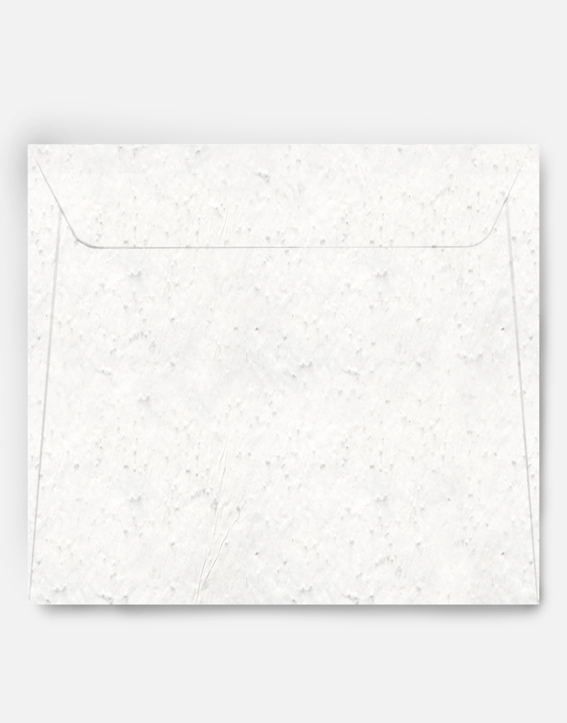 Enveloppe ensemencée C5  Papierfleur, le papier qui fleurit