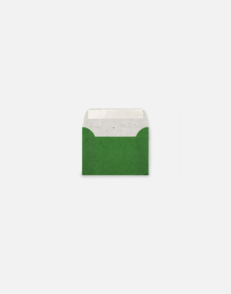 Enveloppes ensemencées vertes  Papierfleur, le papier qui fleurit