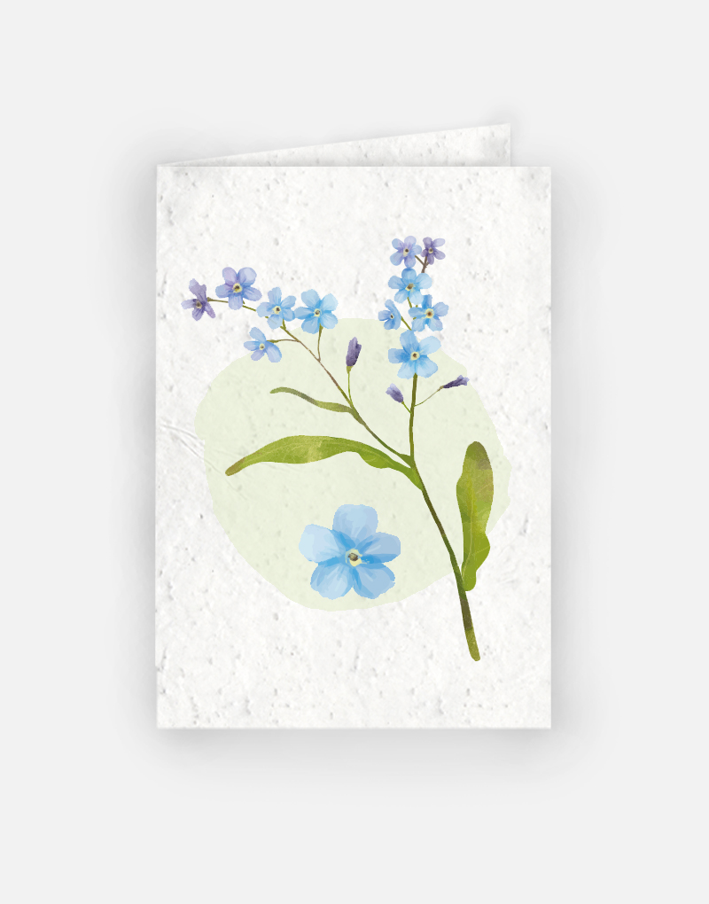 Carte à planter 4 pages - Bouquet de bleuet Upcyclée