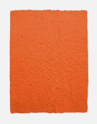 lot-de-feuilles-original-couleur-orange-papierfleur-non-imprimable-papier-ensemence-graines