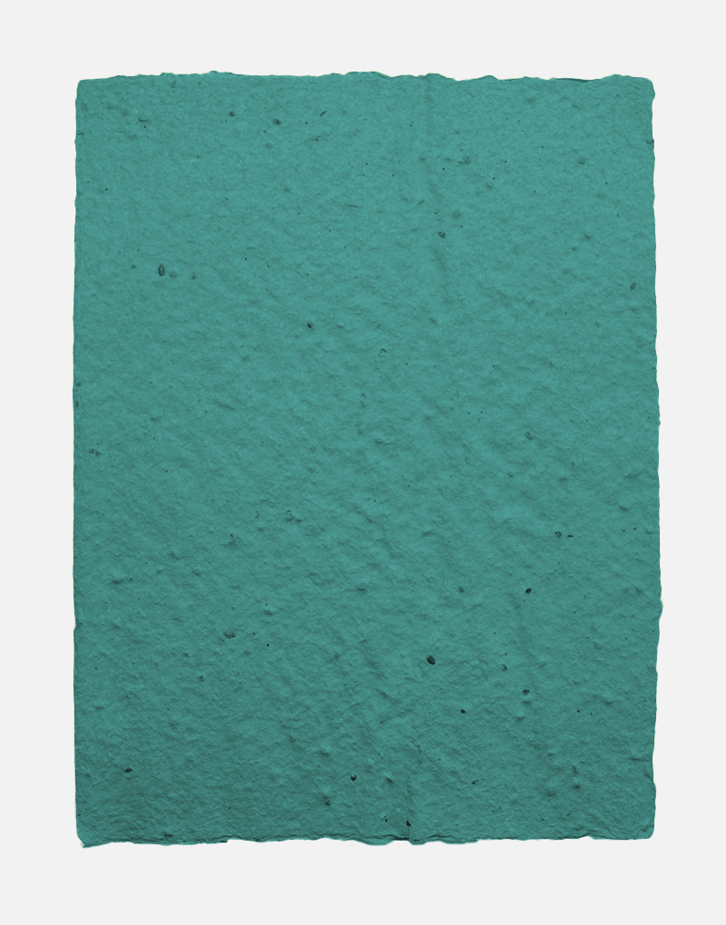 Lot de feuilles de papier ensemencé Original 5 Turquoise