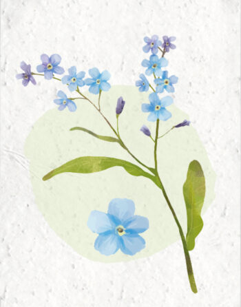 zoom bouquet de bleuet papierfleur