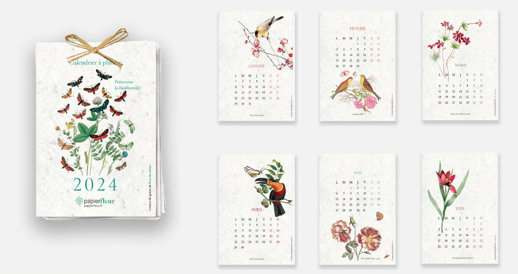 Calendrier 2024 Fleurs